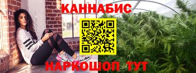 apvp Гатчина